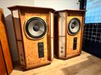 ‼️‼️Verhuis Deal‼️‼️ Tannoy Memory Luidsprekers, Overige merken, Ophalen of Verzenden, Zo goed als nieuw, 120 watt of meer