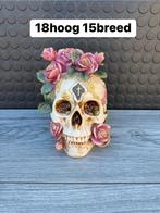doodskop, Woondecoratie eindhoven, Nieuw, Ophalen of Verzenden, Woondecoratie eindhoven