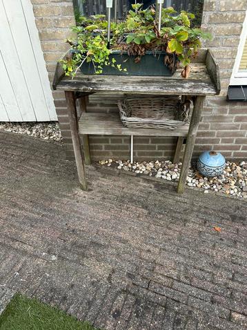 Gratis plantentafeltje beschikbaar voor biedingen