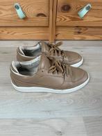 ETQ amsterdam maat 43, Ophalen of Verzenden, Zo goed als nieuw, Schoenen