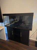 Juwel Rio 240 aquarium + meubel + filter | lekvrij, Dieren en Toebehoren, Vissen | Aquaria en Toebehoren, Ophalen of Verzenden