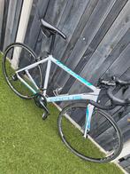 Focus racefiets maat M, Overige merken, Aluminium, Ophalen of Verzenden, Zo goed als nieuw