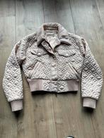 Josh v - cameo bomber - pink lily - xs, Ophalen of Verzenden, Zo goed als nieuw, Roze