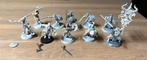 Warhammer AOS 10x Darkoath Marauders #1, Hobby en Vrije tijd, Ophalen of Verzenden, Zo goed als nieuw, Warhammer