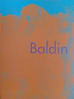 Baldin. De magie van het moment., Ophalen of Verzenden, Zo goed als nieuw, Schilder- en Tekenkunst