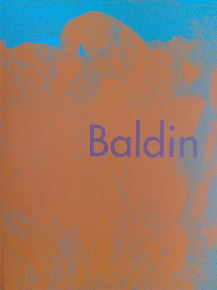 Baldin. De magie van het moment., Boeken, Kunst en Cultuur | Beeldend, Zo goed als nieuw, Schilder- en Tekenkunst, Ophalen of Verzenden
