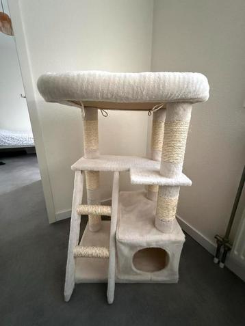 Krabpaal Adori Loulou beschikbaar voor biedingen