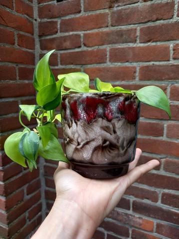 supertof vintage fat lava bloempot met plantje, West Germany beschikbaar voor biedingen
