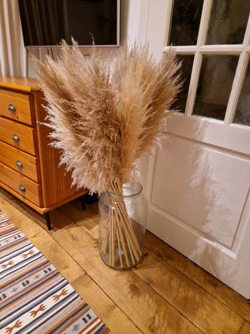 Droogbloemen in Grote Glazen Vaas - 100cm beschikbaar voor biedingen