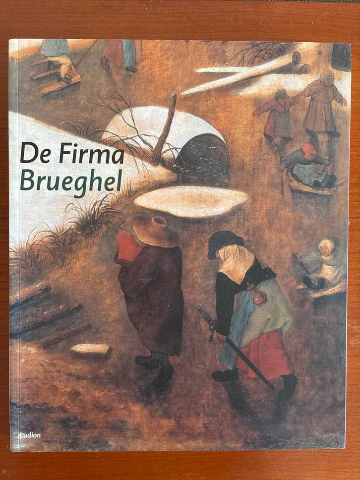 De Firma Brueghel - Boek over Pieter Brueghel, Boeken, Kunst en Cultuur | Fotografie en Design, Zo goed als nieuw, Fotografen
