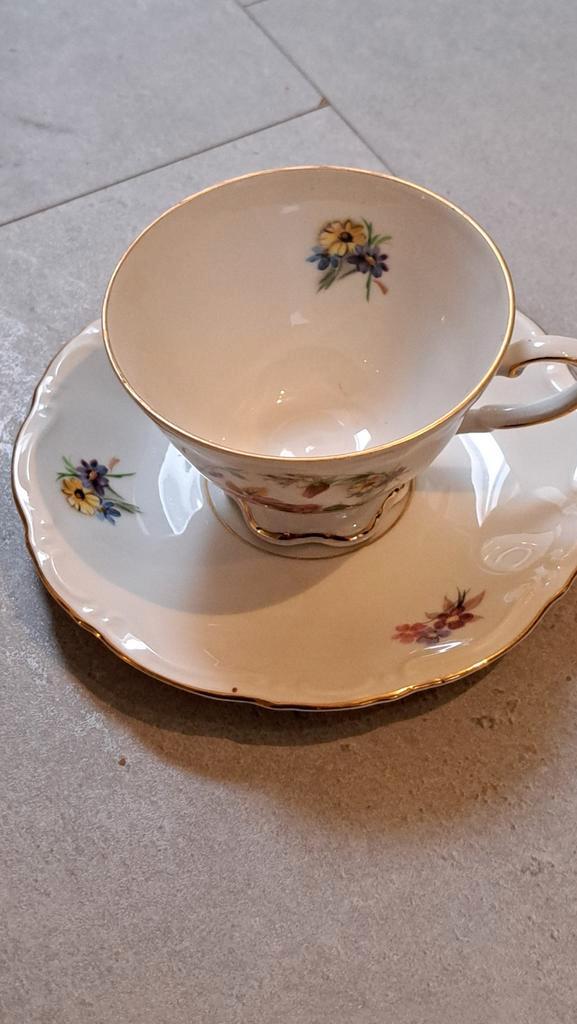 Vintage Thomas Germany Theekop en Schotel, Antiek en Kunst, Antiek | Servies compleet, Ophalen of Verzenden