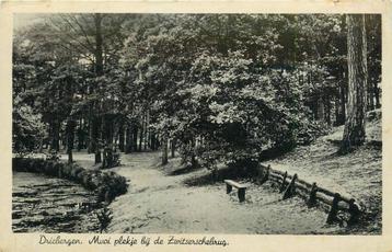 (388-333-047) Driebergen-Rijsenburg Mooi plekje bij de Zwits beschikbaar voor biedingen