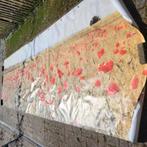 Canvas, groot, klaprozen., Ophalen