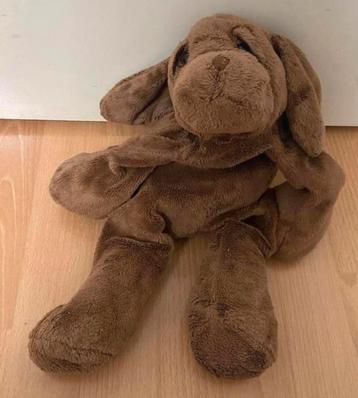 Schattige Bruine Knuffelhond beschikbaar voor biedingen