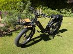 RadRhino weinig km, Fietsen en Brommers, Elektrische fietsen, Ophalen, Zo goed als nieuw, 50 km per accu of meer, Overige merken
