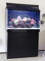 Red sea 350, Dieren en Toebehoren, Ophalen, Zo goed als nieuw, Leeg aquarium