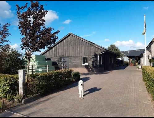Aangeboden  Ponystalling ,Pensionstalling, Dieren en Toebehoren, Stalling en Weidegang, 1 paard of pony