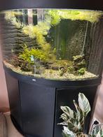 Juwel hoek aquarium 190L, Dieren en Toebehoren, Vissen | Aquaria en Toebehoren, Ophalen, Gebruikt, Gevuld zoetwateraquarium
