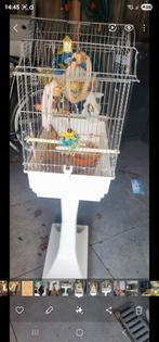 Vogelkooi, Ophalen of Verzenden, Zo goed als nieuw, Metaal, Vogelkooi