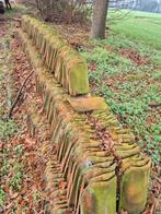 Oude Holle Dakpannen - Hergebruik, Gebruikt, Steen of Klei, Ophalen of Verzenden, 15 m² of meer