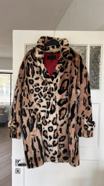 Nieuwe jas maat M beschikbaar voor biedingen