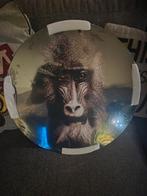 Glas Schilderij Baviaan, Huis en Inrichting, Woonaccessoires | Schilderijen, Tekeningen en Foto's, Ophalen of Verzenden