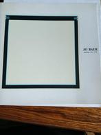 Jo Baer paintings 1962-1974, Boeken, Catalogussen en Folders, Ophalen of Verzenden, Zo goed als nieuw, Catalogus