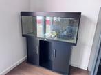 Aquarium Juwel Rio 240 inclusief bijhorende kast, Dieren en Toebehoren, Ophalen, Zo goed als nieuw, Leeg aquarium
