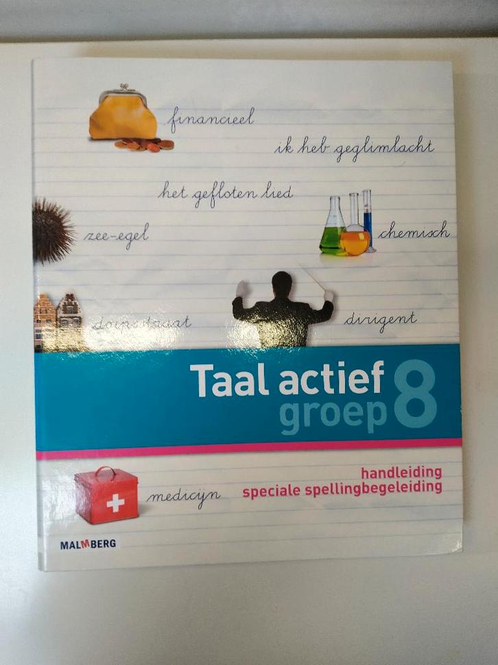 Taal Actief Speciale Spellingbegeleiding - Groep 8, Boeken, Schoolboeken, Zo goed als nieuw, Nederlands, Overige niveaus, Ophalen of Verzenden