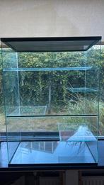 Terrarium/hok Muis Gerbil Degoe van glas met schuifruiten, Minder dan 60 cm, Rat, Minder dan 75 cm, Ophalen of Verzenden