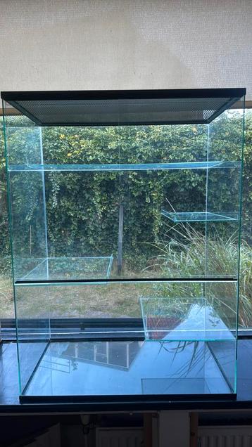 Terrarium/hok Muis Gerbil Degoe van glas met schuifruiten beschikbaar voor biedingen
