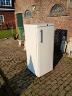 liebherr vriezer, Witgoed en Apparatuur, Vriezers en Diepvrieskisten, Gebruikt, 140 tot 160 cm, Ophalen, Vrieskast