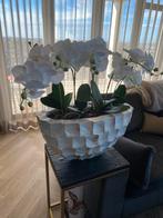 Eric Kuster schelpenvaas met zijden orchideeën, Huis en Inrichting, Woonaccessoires | Vazen, Wit, Zo goed als nieuw, Ophalen