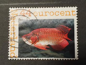 Persoonlijke postzegel van een vis beschikbaar voor biedingen