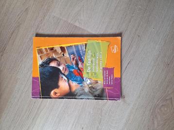 De Taallijn | ISBN 9789077529157 | Groep 1-2 | Pabo beschikbaar voor biedingen