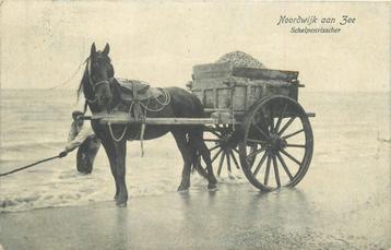 (701-345-035) Noordwijk aan Zee Schelpenvisscher beschikbaar voor biedingen