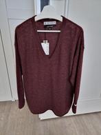 10DAYS TRUI OVERSIZED MODEL DONKERRODE KLEUR MT M, Kleding | Dames, Truien en Vesten, Maat 38/40 (M), Overige kleuren, 10days