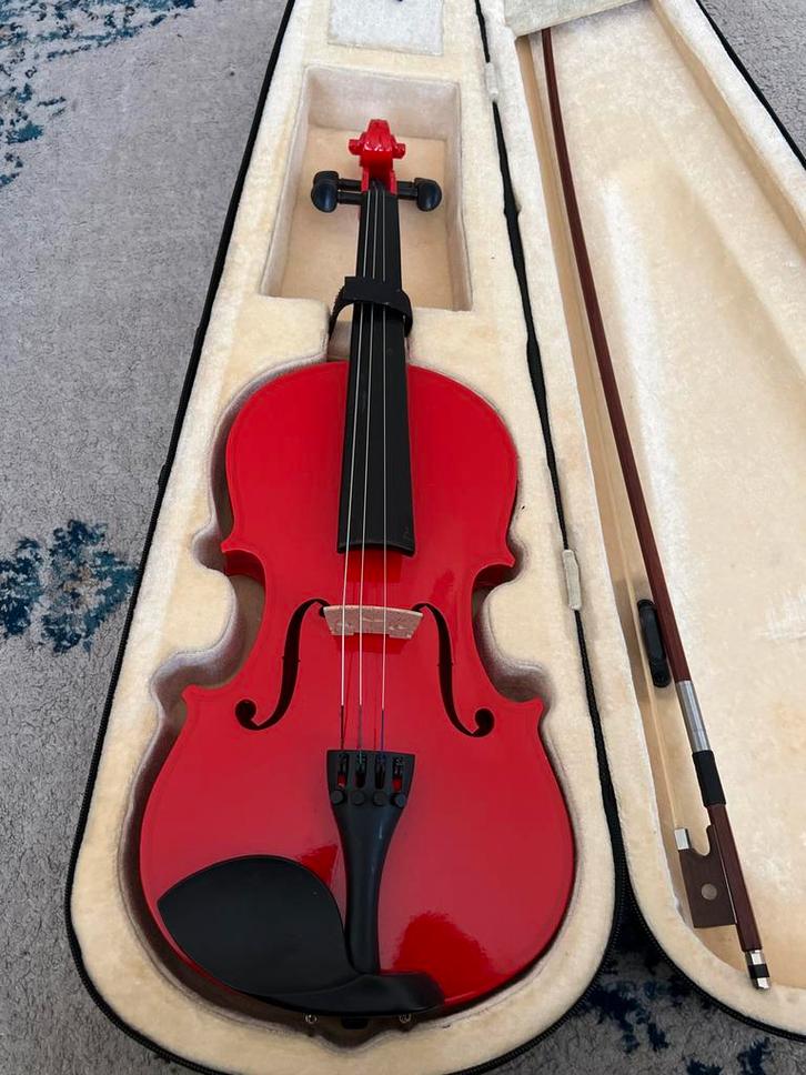 Viool te Koop, Muziek en Instrumenten, Strijkinstrumenten | Violen en Altviolen, Gebruikt, Viool, 4/4-viool, Met koffer, Ophalen of Verzenden