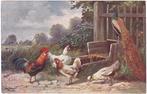 Reclamekaart 1910 P. Sluis Zaadhandel Haan Kip Pauw Reclame, Ophalen of Verzenden, Voor 1920, Gelopen, Overige thema's