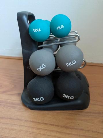 Dumbbell gewichten set 1, 2 en 3 kg beschikbaar voor biedingen