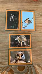 Dekamarkt artis spaaractie, Verzamelen, Supermarktacties, Dekamarkt, Ophalen of Verzenden