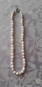 Parelketting, nieuw, Sieraden, Tassen en Uiterlijk, Kettingen, Ophalen of Verzenden, Nieuw, Roze, Overige materialen