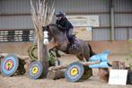 ️ Lieve B -pony merrie 1.22 ️, Dieren en Toebehoren, Merrie, B, Gechipt, Springpony