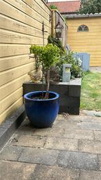 Blauwe bloempot, Overige materialen, Gebruikt, Minder dan 60 cm, Rond
