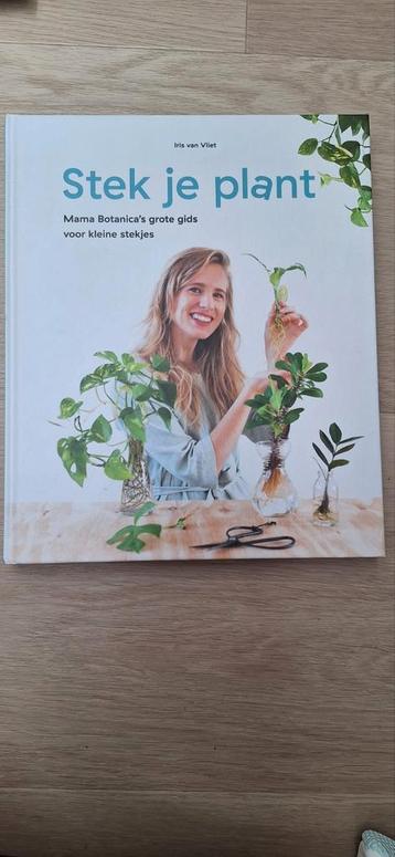 Iris van Vliet - Stek Je Plant beschikbaar voor biedingen