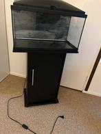 60 liter aquarium met kast / maten aquarium L.60 B.30 H.41, Dieren en Toebehoren, Vissen | Aquaria en Toebehoren, Ophalen, Zo goed als nieuw