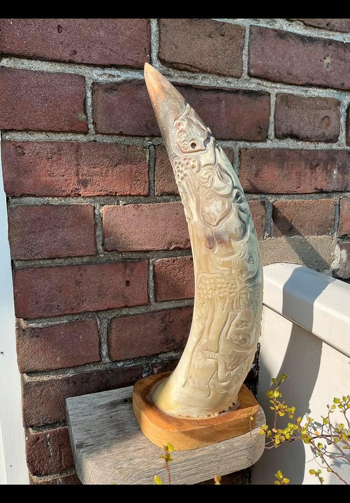 De punt van een hoorn waar de “ big five ” in uitgesneden is, Antiek en Kunst, Kunst | Niet-Westerse kunst, Ophalen of Verzenden