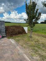 Paardenmest mest paard wie kan het ophalen, Ophalen