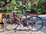 Fuji absolute racefiets 49, Fietsen en Brommers, Fietsen | Racefietsen, 49 tot 53 cm, Ophalen, Gebruikt, Overige merken