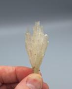 Scolesiet - India, Ophalen of Verzenden, Mineraal